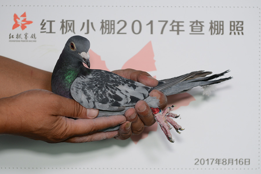 4076 