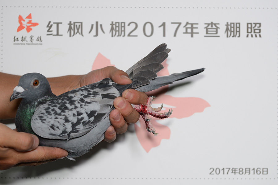 4168 