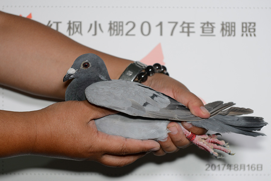 4194 