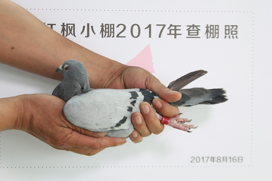 4510 