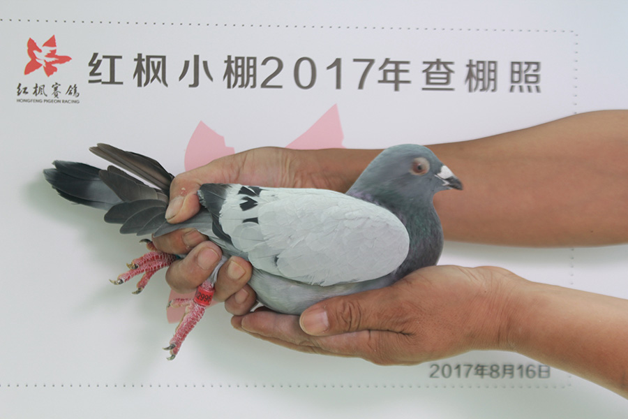 4701 