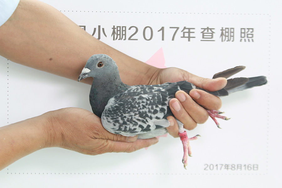 4746 