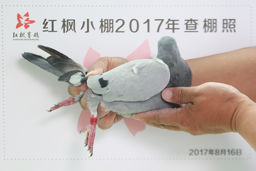 5123 