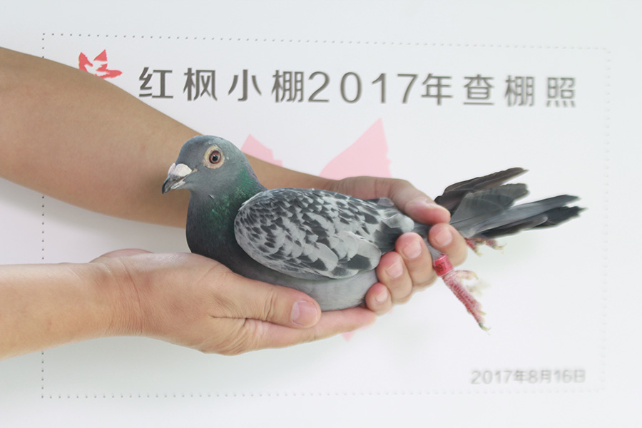 5351 