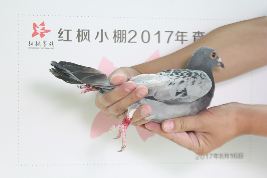 5364 