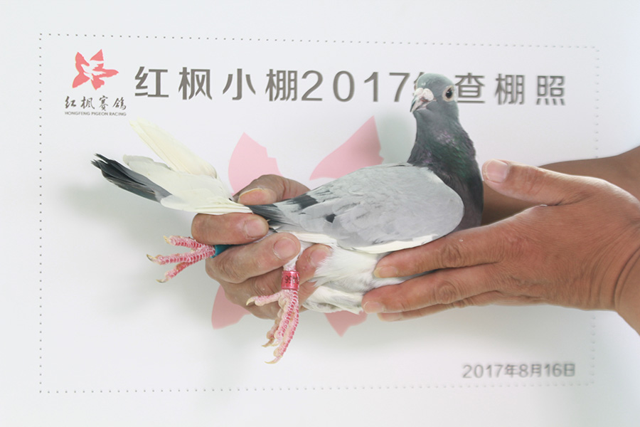 5541 