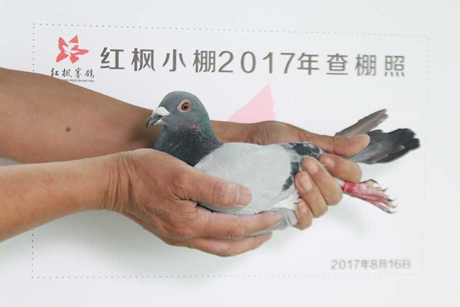 5607 