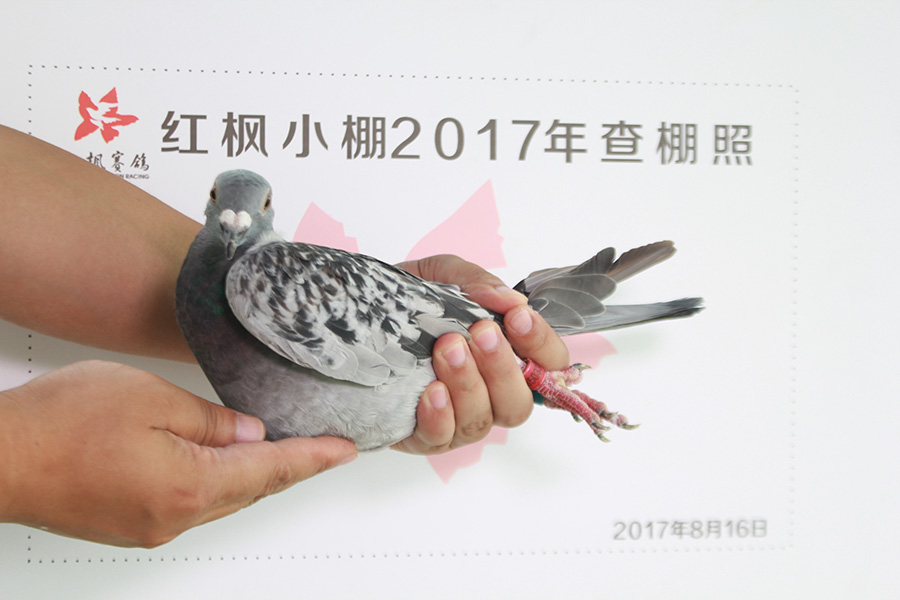 5776 