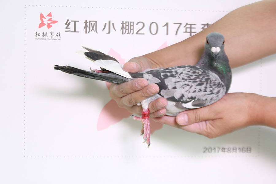 6148 