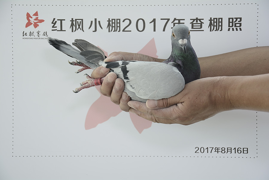 820 