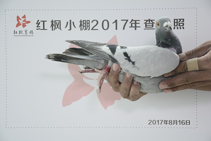 1026 