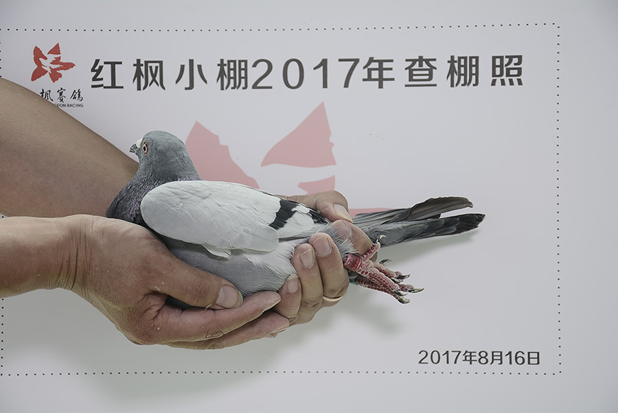 1243 