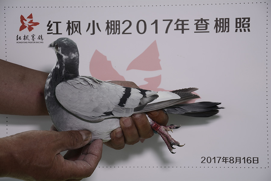 1464 