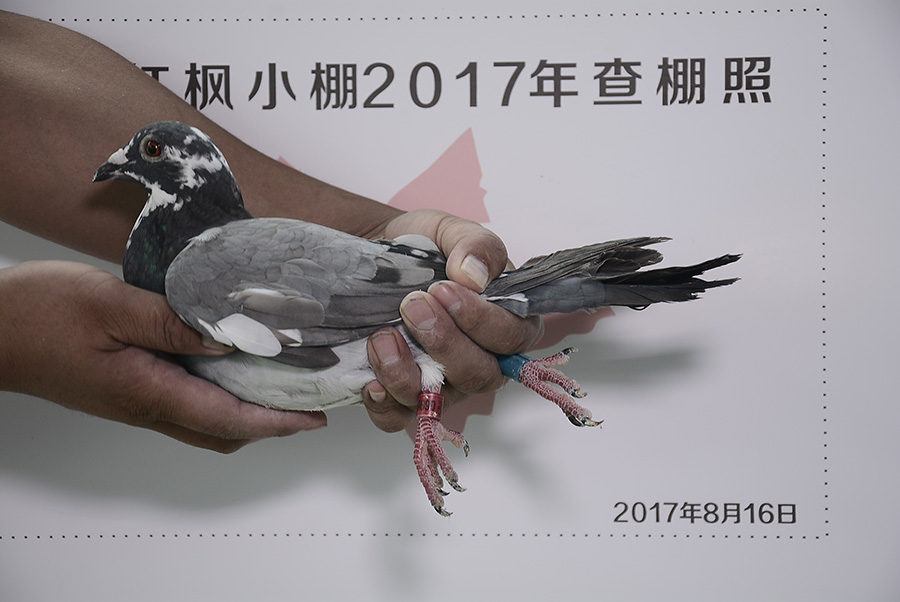 1682 