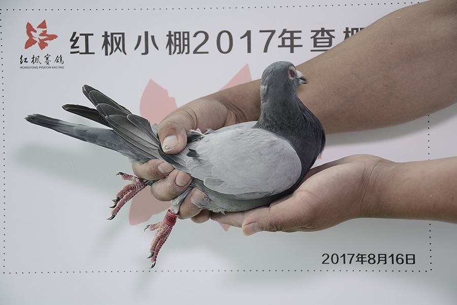 1716 