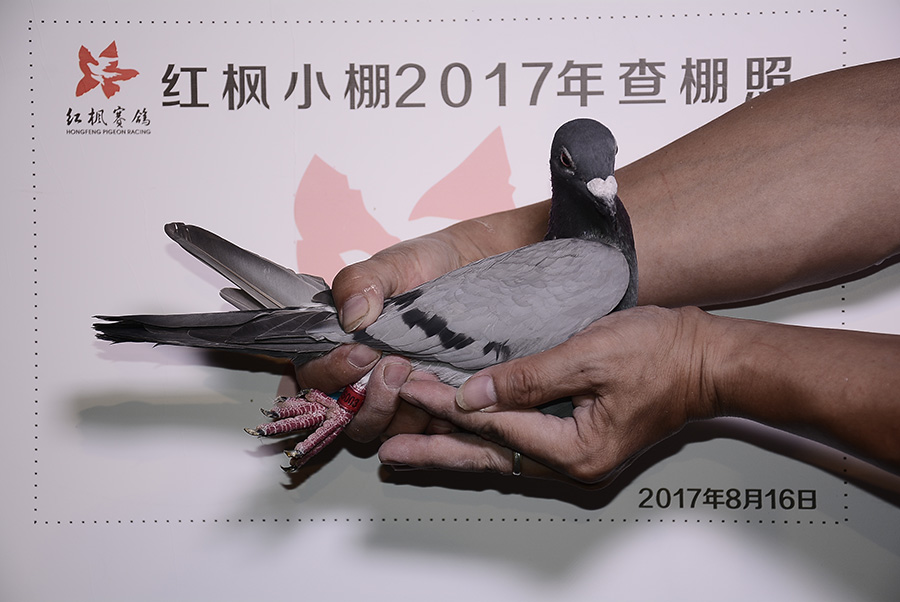 2079 