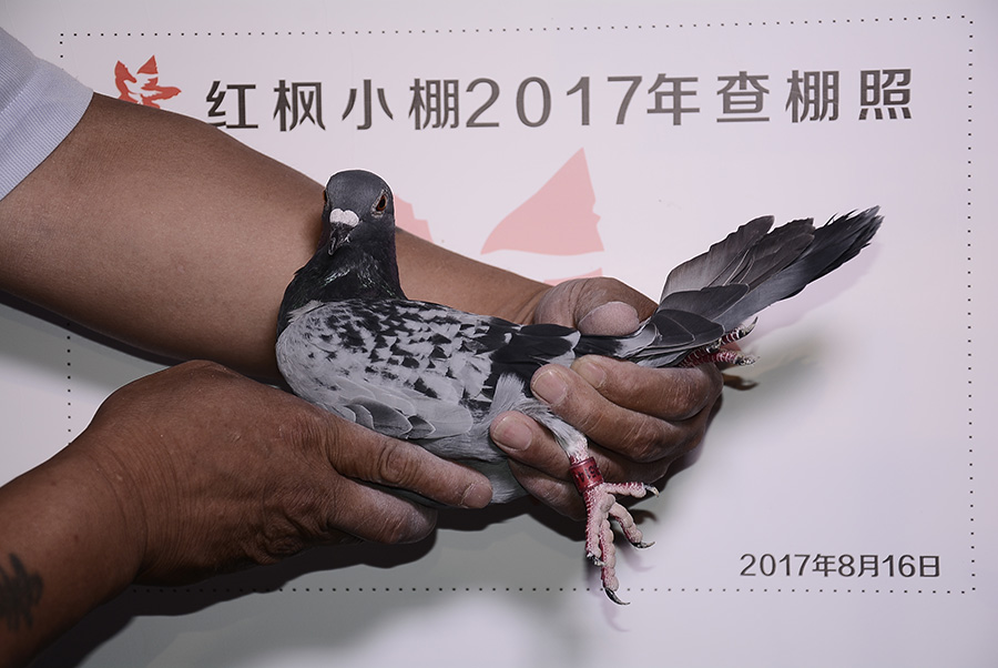2089 
