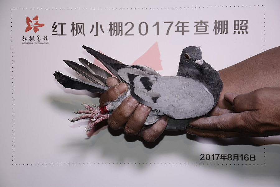 2122 