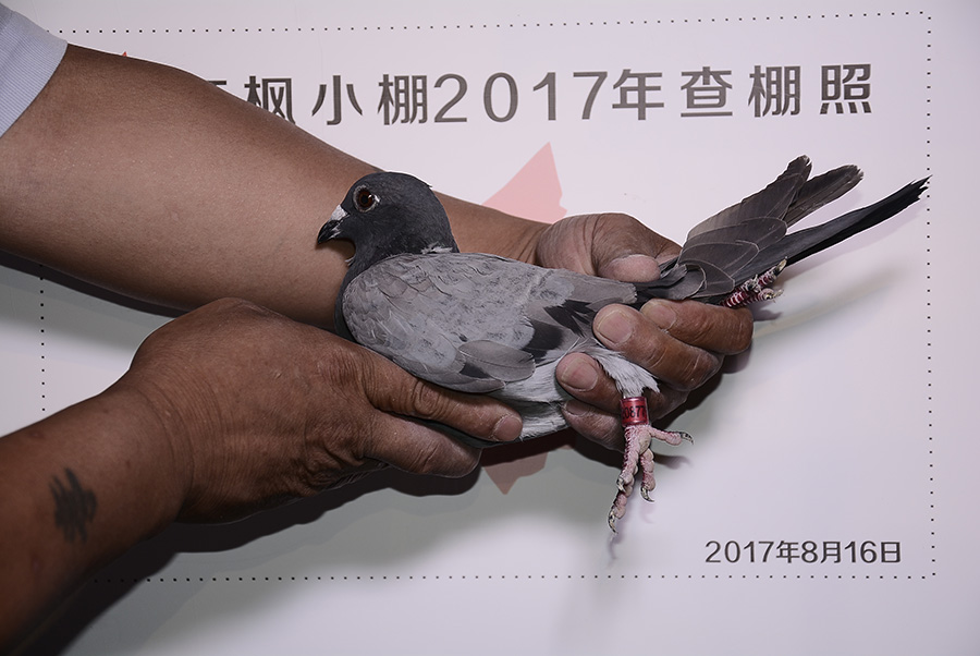2216 