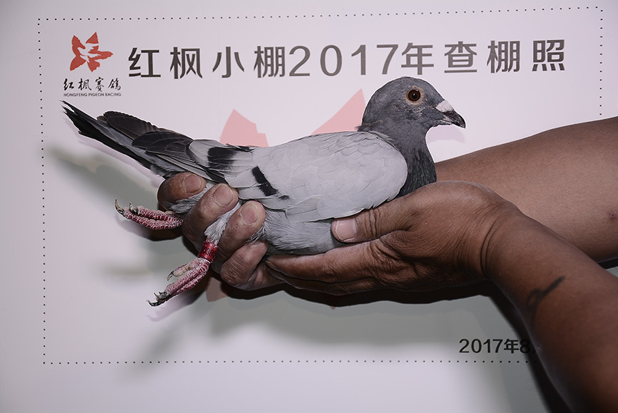 2219 