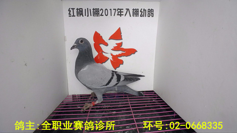 820 