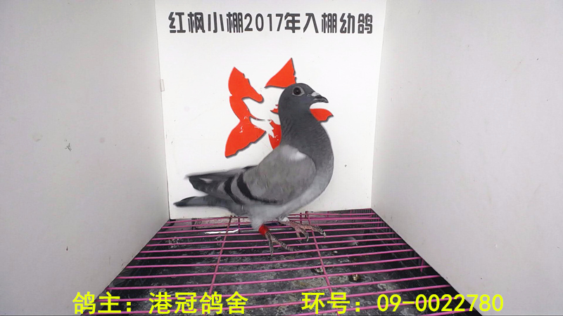 2238 