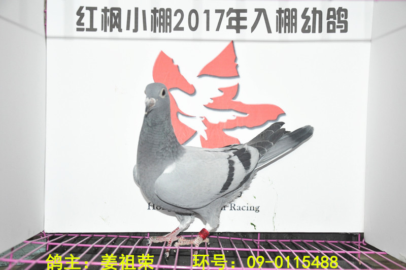 861 