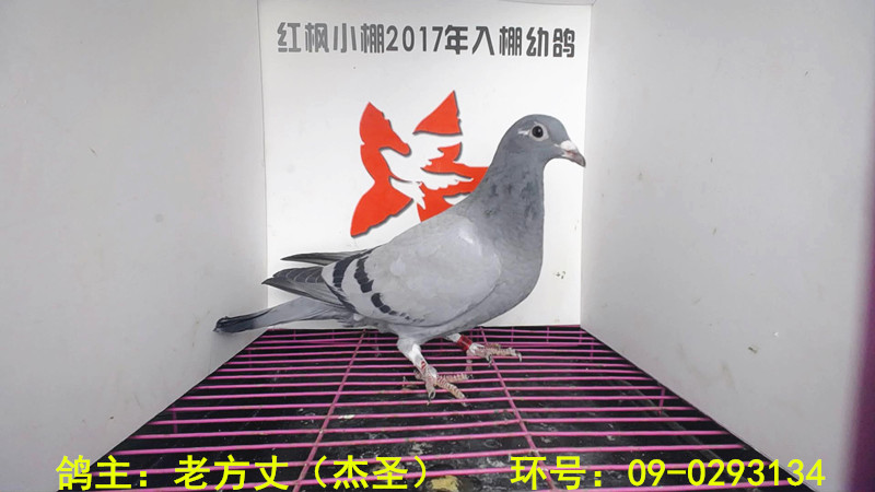3442 