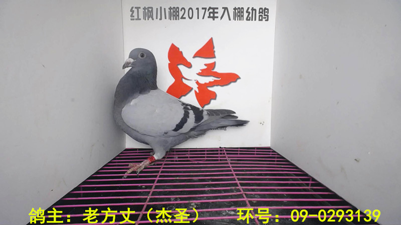 4500 