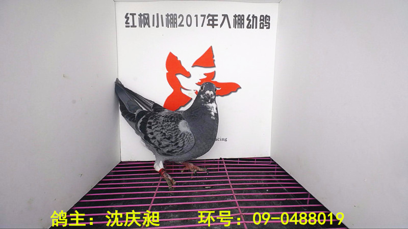 4143 