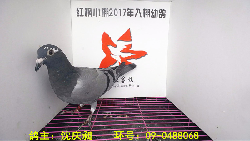 5642 