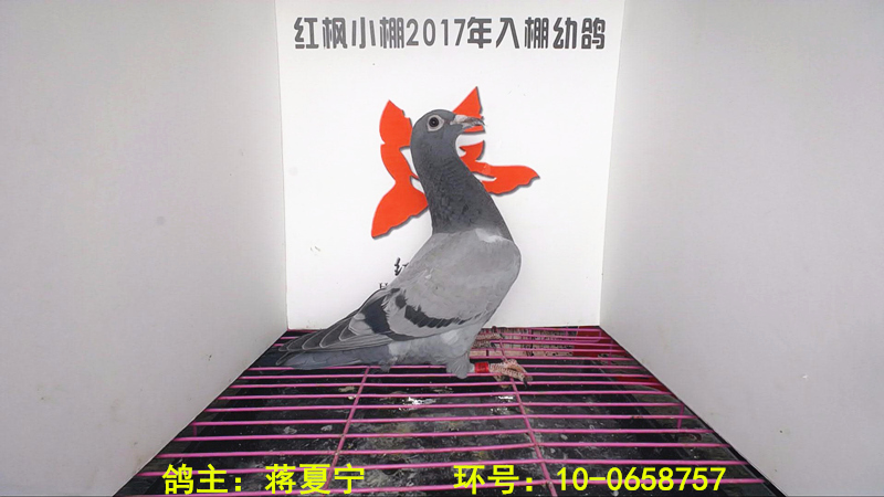6298 