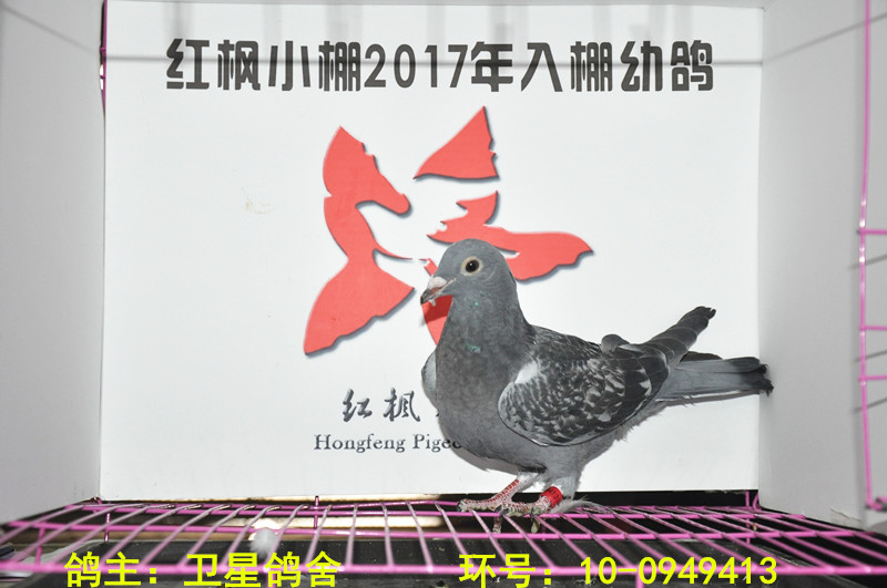 2426 