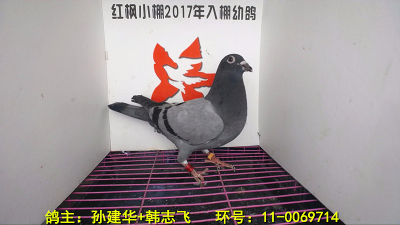 5972 