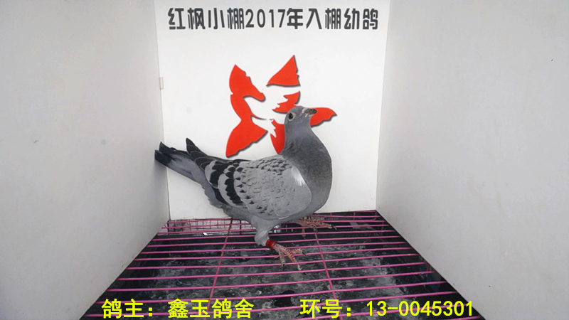 2165 