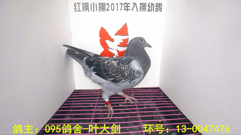 1013 