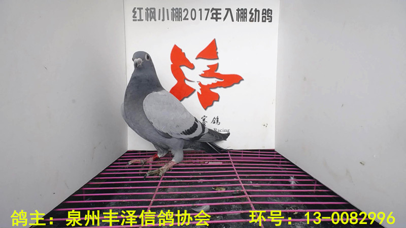 4701 