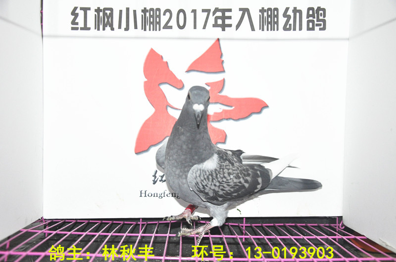 6148 