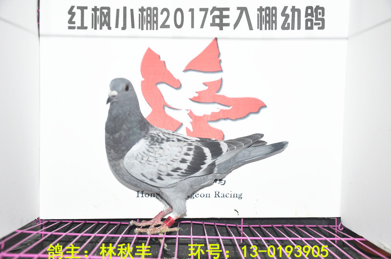 1496 