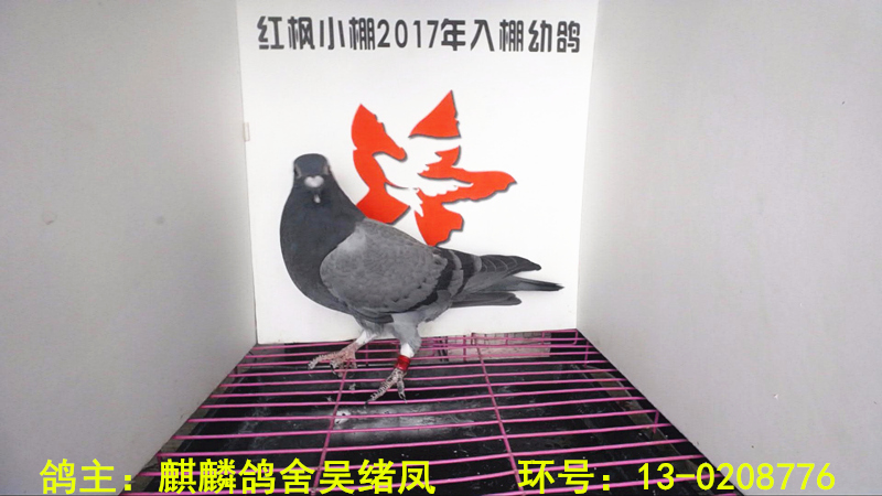 2216 