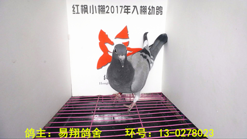 5590 