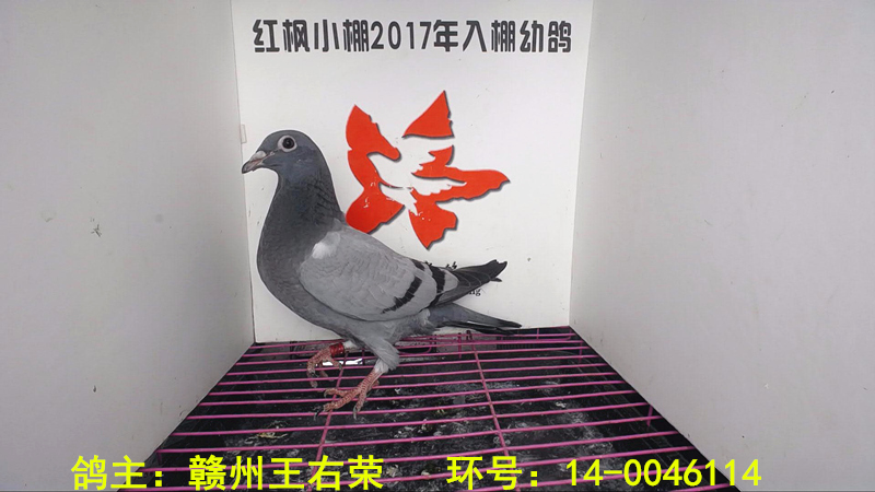 2122 