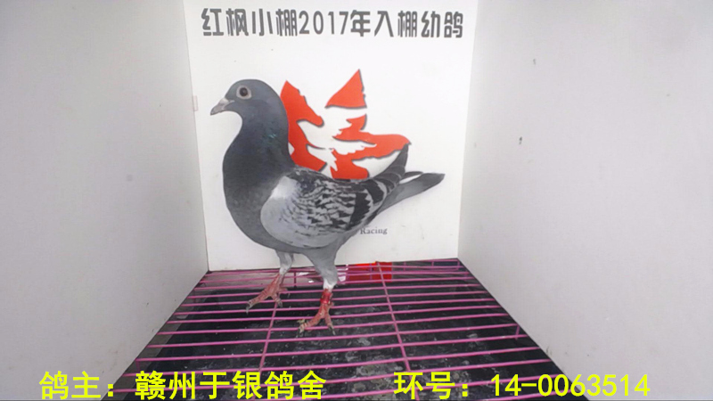 2089 
