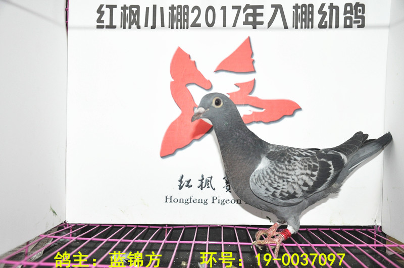 5351 