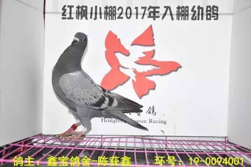 4805 