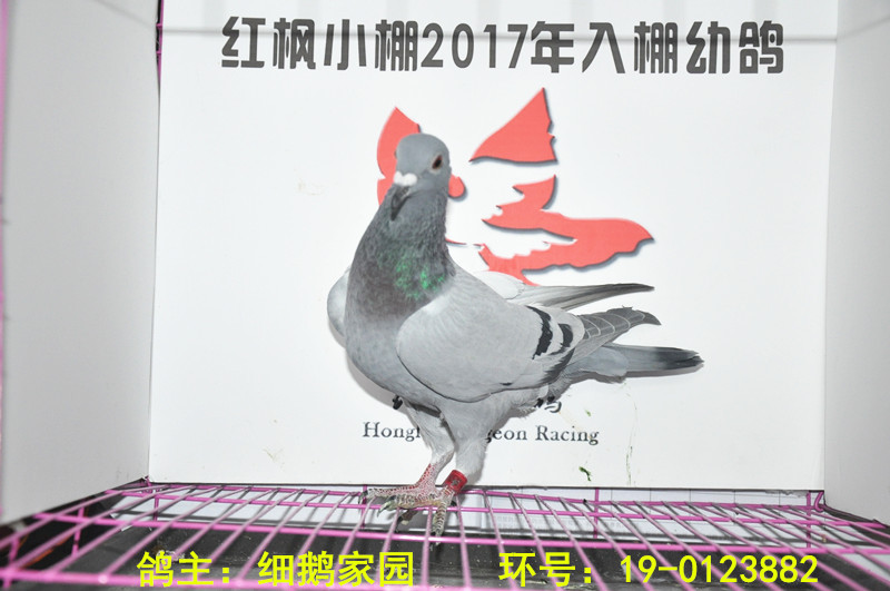 980 