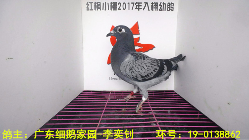 3117 