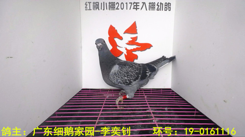 4076 