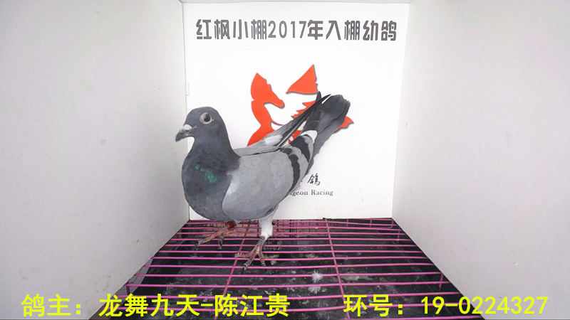 5193 