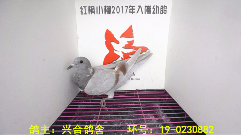 3539 